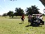 golf_29