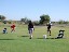 golf_4